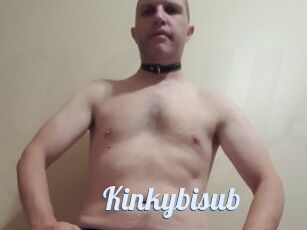 Kinkybisub