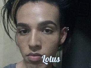 Lotus