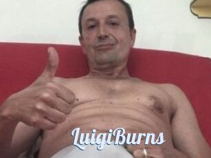 LuigiBurns