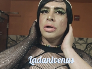 Ladanivenus
