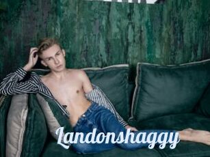 Landonshaggy