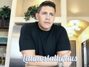 Latinostallionus