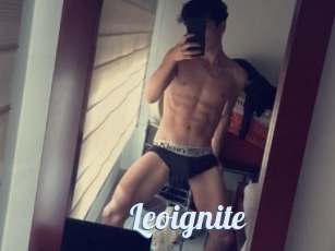 Leoignite