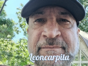 Leoncarpita