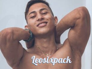 Leosixpack