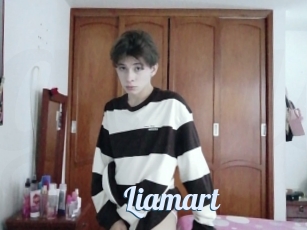 Liamart