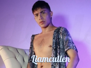 Liamcullen