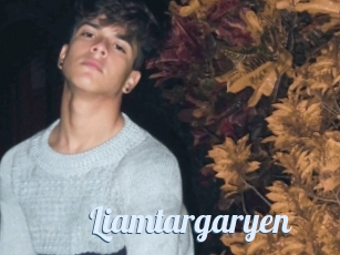 Liamtargaryen