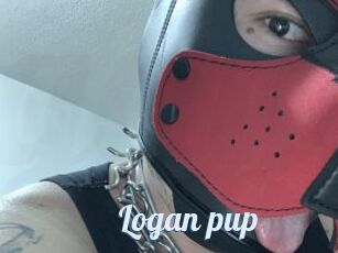 Logan_pup