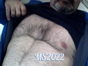 MS2022
