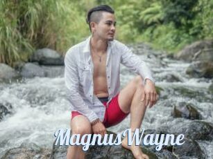 MagnusWayne