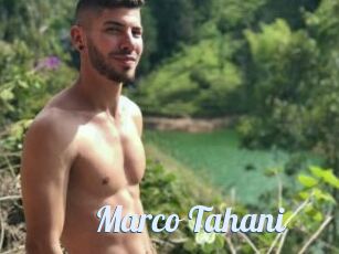 Marco_Tahani