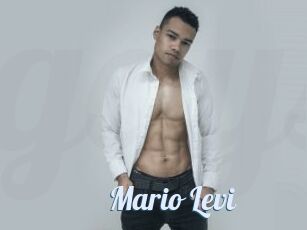Mario_Levi