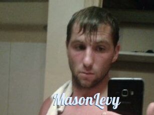 Mason_Levy
