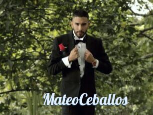 MateoCeballos