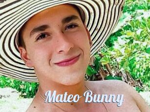 Mateo_Bunny