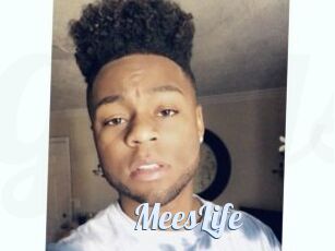 MeesLife