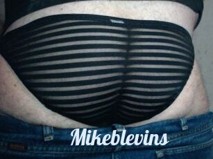 Mikeblevins