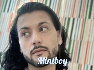 Mintboy