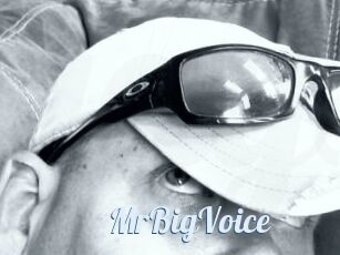MrBigVoice