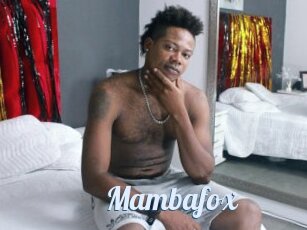 Mambafox