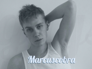 Marcuscobra