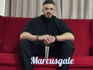 Marcusgale