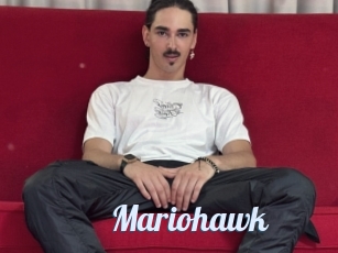 Mariohawk