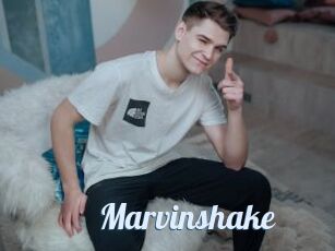 Marvinshake