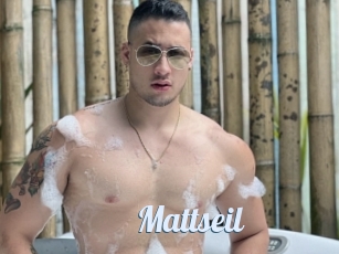 Mattseil