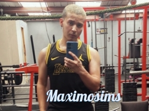 Maximosims
