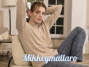 Mikkeymallaro