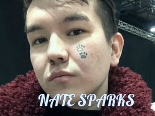 NATE_SPARKS