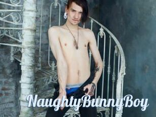 NaughtyBunnyBoy