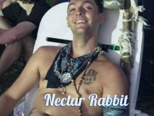 Nectar_Rabbit