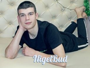 NigelBud