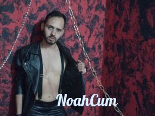 NoahCum
