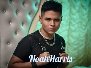 NoahHarris