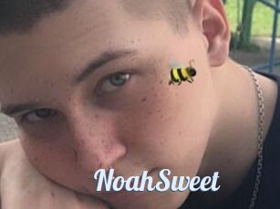 NoahSweet