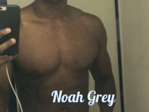 Noah_Grey