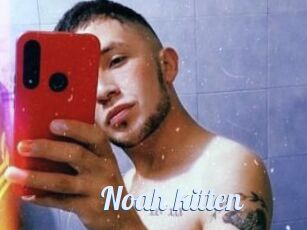 Noah_kitten