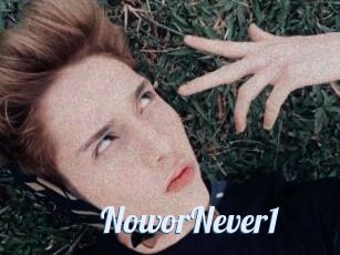 NoworNever1