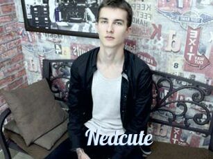 Nedcute