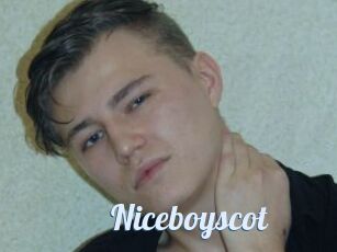 Niceboyscot
