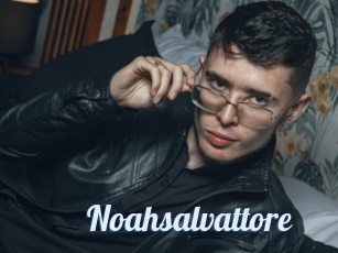 Noahsalvattore