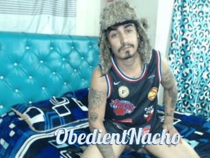 ObedientNacho