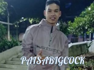 PAISABIGCOCK