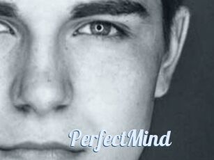 PerfectMind