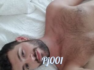 Pj001