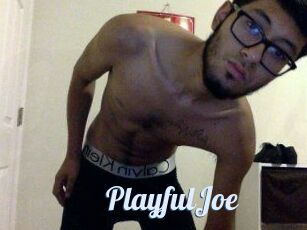 PlayfulJoe